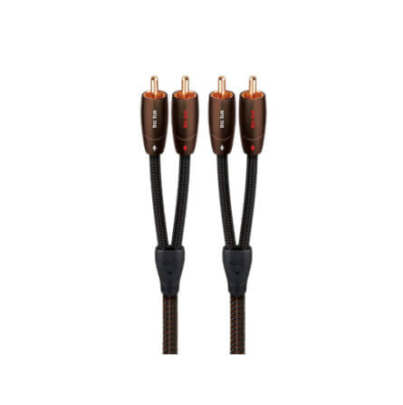 สายสัญญาณอนาล็อก AUDIOQUEST : BIG SUR (RCA TO RCA) (2.0M)_0